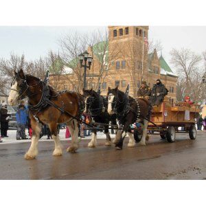 3-Waseca Horse drawn waggon